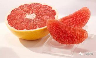 葡萄柚爆料配方视频,跟随视频探索神奇饮品制作过程