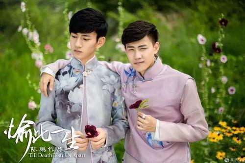 愉此一生手机在线观看,手机在线观看，解锁人生美好瞬间  第1张