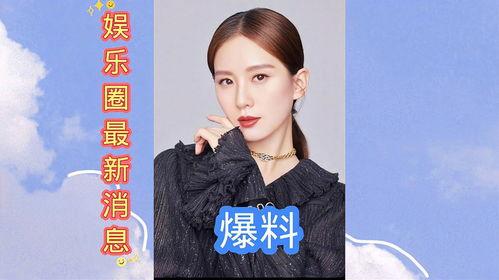 娱乐圈最新爆料粤语,揭秘明星背后的秘密风云  第1张