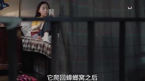 端姐被人爆料视频大全,揭秘网络爆料的真相与影响  第2张