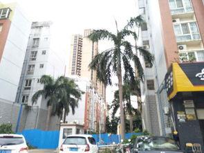 蓝天花园最新爆料,揭秘神秘项目背后的真相 第3张 蓝天花园最新爆料,揭秘神秘项目背后的真相 第3张