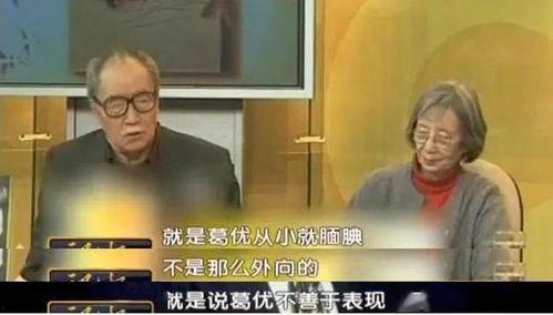 葛优老师爆料视频播放,视频播放背后的惊人真相 第3张 葛优老师爆料视频播放,视频播放背后的惊人真相 第3张